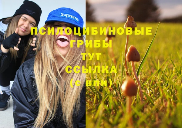 винт Заводоуковск